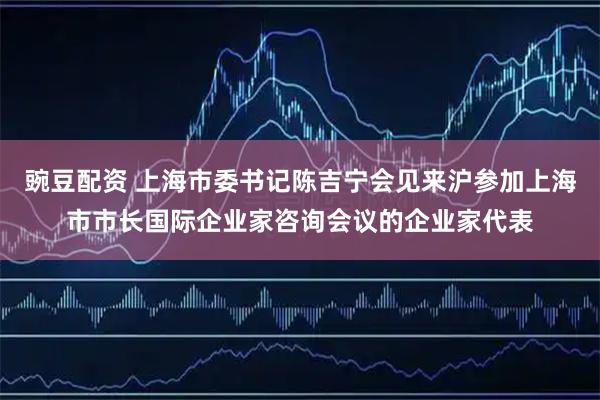 豌豆配资 上海市委书记陈吉宁会见来沪参加上海市市长国际企业家咨询会议的企业家代表