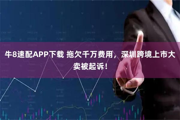 牛8速配APP下载 拖欠千万费用，深圳跨境上市大卖被起诉！