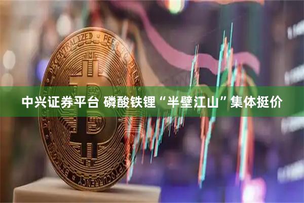 中兴证券平台 磷酸铁锂“半壁江山”集体挺价