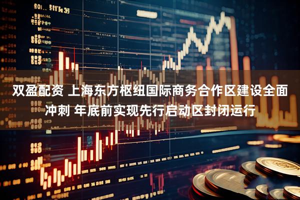 双盈配资 上海东方枢纽国际商务合作区建设全面冲刺 年底前实现先行启动区封闭运行