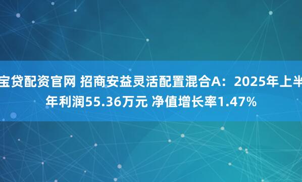 宝贷配资官网 招商安益灵活配置混合A：2025年上半年利润55.36万元 净值增长率1.47%